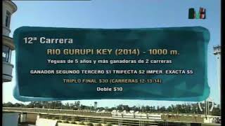 Carr.12 Premio: RIO GURUPI KEY (2014) 08-10-2020