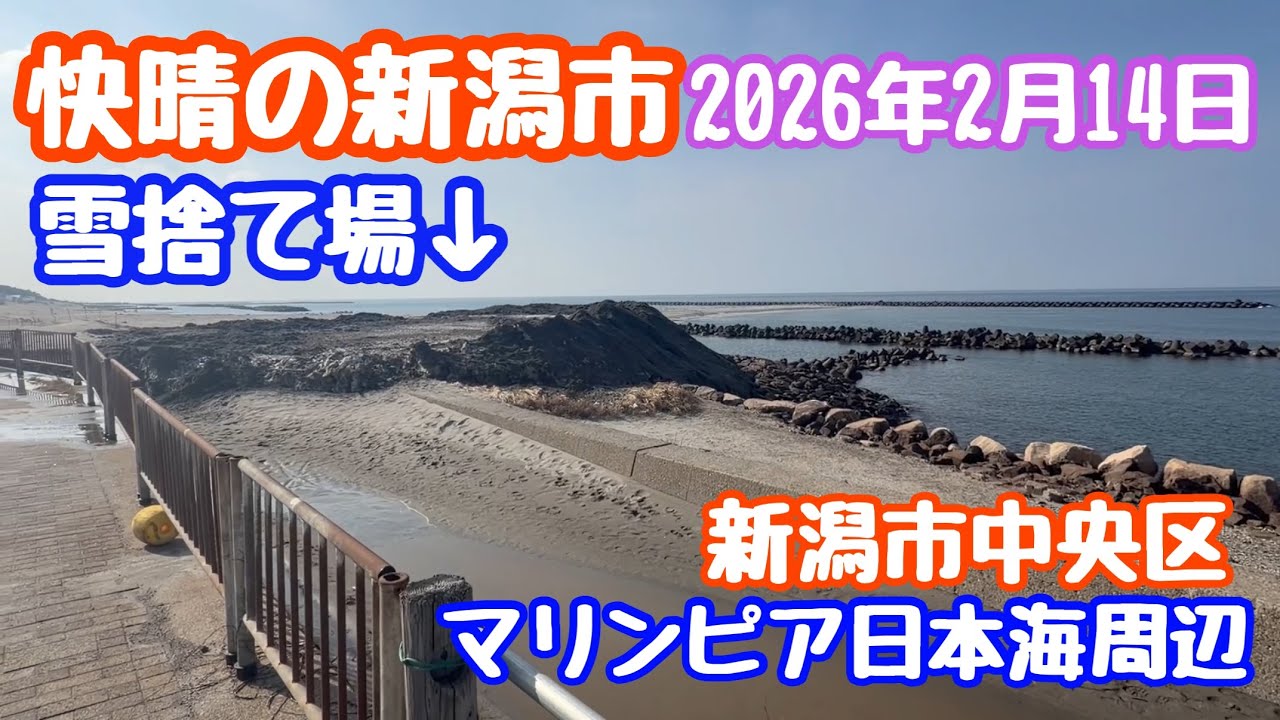 2026年2月14日 快晴の新潟市中央区 雪捨て場 散歩 マリンピア周辺 雪消えました