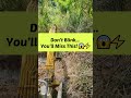 Unexpected Twist During Digging! 😮💪 Don’t Blink… You’ll Miss This! 😱⚡