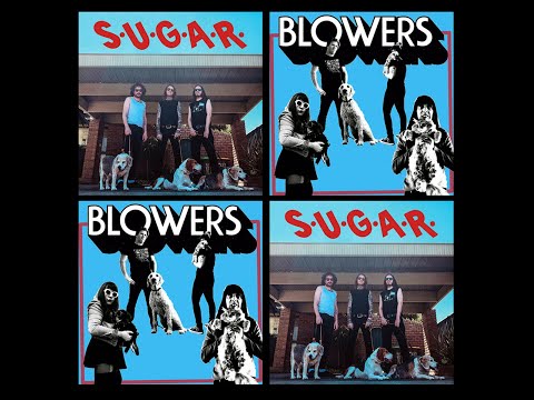 Blowers — S.U.G.A.R. / BLOWERS - Split (2025)