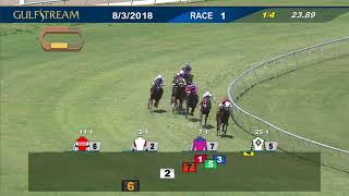 Gulfstream Park: August 3, 2018 Race 1