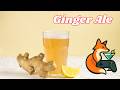 Ginger Ale - Come preparare Home Made una perfetta soda allo zenzero per i vostri cocktail!