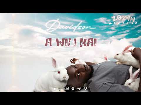 DAVIDSON - A WILI KAI