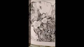 Full Adult Coloring Book Variety Themes #1: Stress Relief Activity: Volume 1 Update
