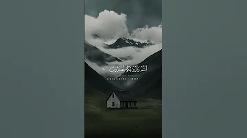 محمد اللحيدان ادخلوا الجنة انتم وازواجكم تحبرون 