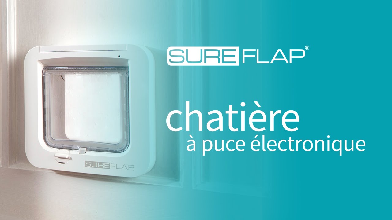 Comment mémoriser  la puce de votre chat  dans la chatière SureFlap
