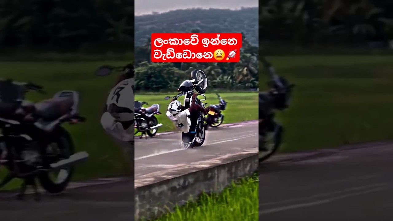 වැඩ්ඩෝ ඉන්නෙ ලංකාවනේ 😫❤️🚀#ct100 #stunt#shortsfeed #1k #bikelover #song #dj #viralvideo