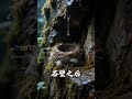 真正的平安,不是没有风暴,而是在风暴中,有一个石壁之后的地方。