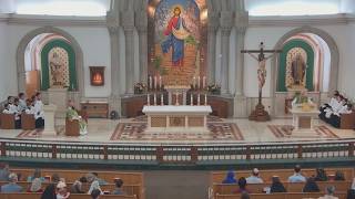 Sunday 11:00 AM Weekly Mass (Latin/English)