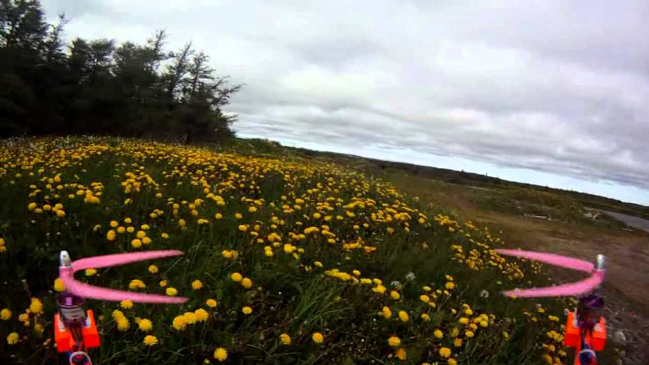 Cutting Grass Quadcotper
