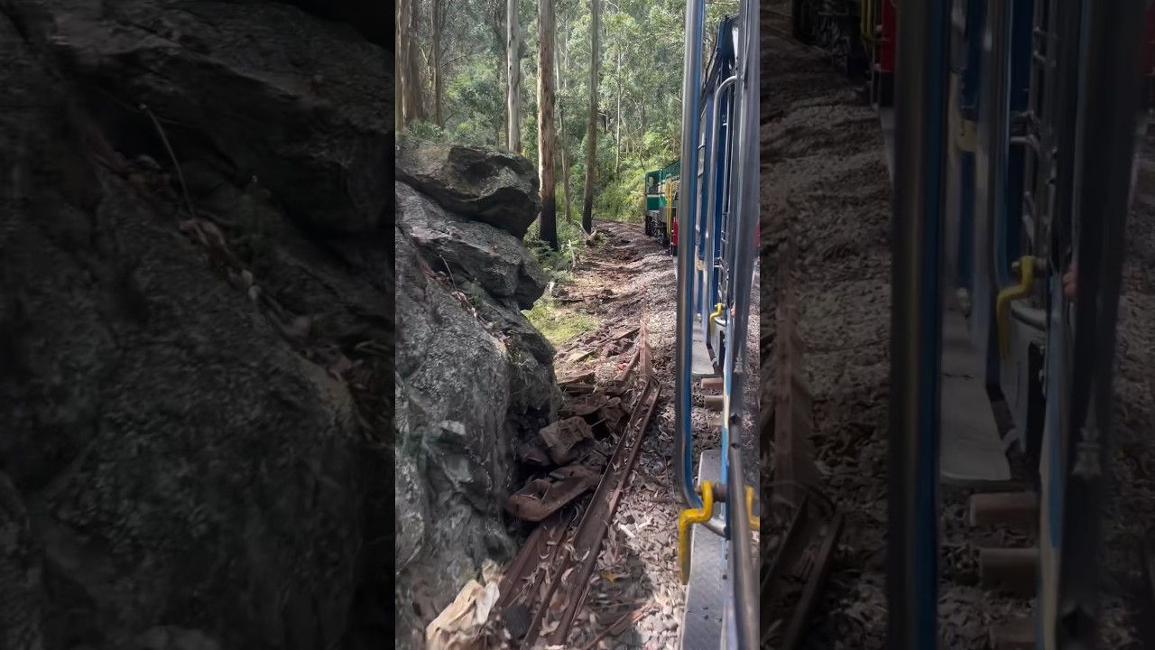 Toy Train | Ooty | Tamilnadu 