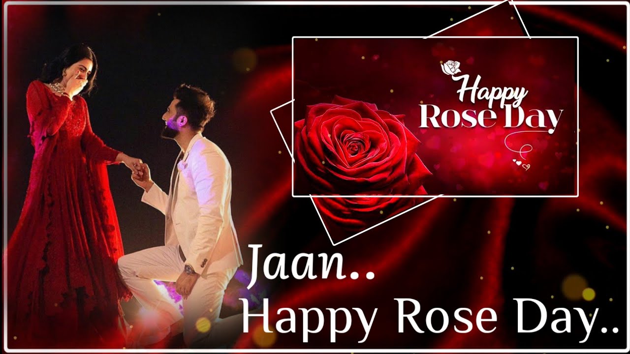 ️ World's Best Rose Day Status for Gf🌹 Rose Day Status 2023 Rose