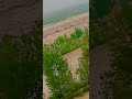 When nature become destructive.River swat flood.#flood #flood2022 #river #water #floodinpakistan