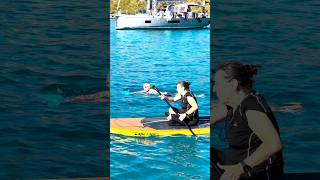 Adding the “Cool” Sea Scooter to the list of toys, Big mistake!