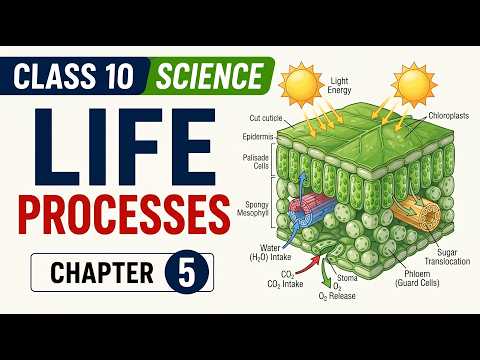 Video Class 10 Science | Chapter 5: Life Processes | Complete NCERT Explanation