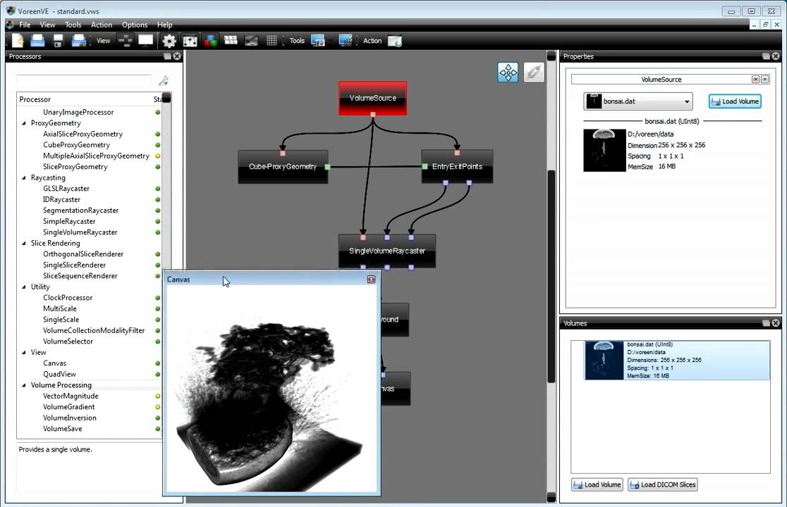 Voreen Video Tutorial 2 - Data Set Handling