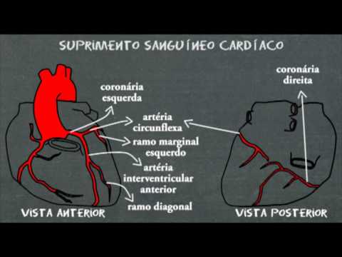 Vídeo: Anatomia, Diagrama E Função Das Coronárias Cardíacas - Mapas Do Corpo