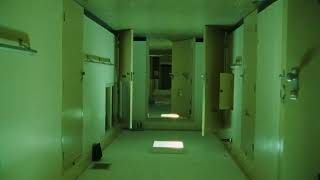 Celebrity Matt Champion - Gbiv Wealth