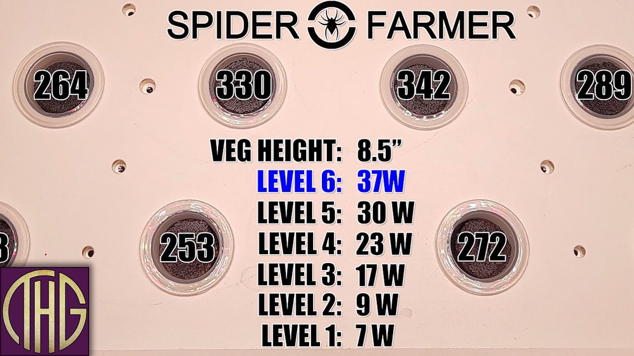 PAR Level Tests With The Spider Farmer G12 Indoor Grow System!!