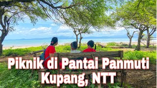 Panmuti Beach, Kupang, NTT | Piknik di Pantai