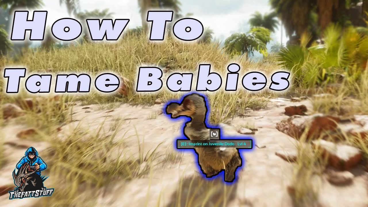 How To Tame BABY WILD DINOS Ark Survival Ascended YouTube How To Tame BABY WILD DINOS Ark Survival Ascended YouTube