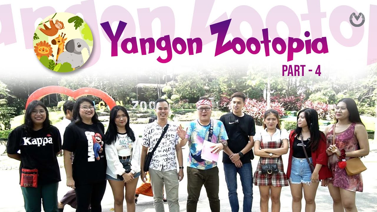 ဘယ်သူဟာ Champion လဲ🧐Team စိန်ပေါက်ပေါက်လား Team စိန်မျောက်မျောက်လား 😱