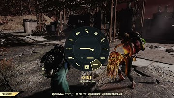 Finally, I can see all my damage numbers!