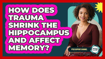 How Does Trauma Shrink The Hippocampus And Affect Memory? - PTSD Support Channel