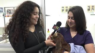 Alief CTE Vet Tech Pet of the week