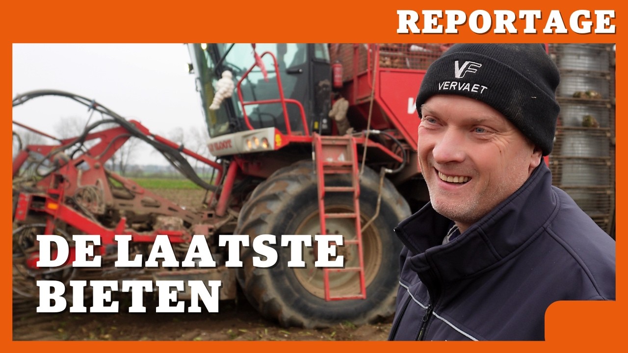 De laatste bieten van 2024