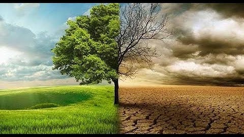 NIMASA THIS WEEK EPISODE 249 : Climate Action and Maritime Partnerships.