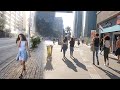 Av. Paulista Sao Paulo | Brazil Walking tour