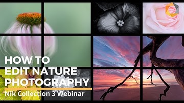 3 Different Creative Nature Photography Workflows with Nik Collection by DxO