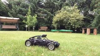 RC Absima Buggy goes wild