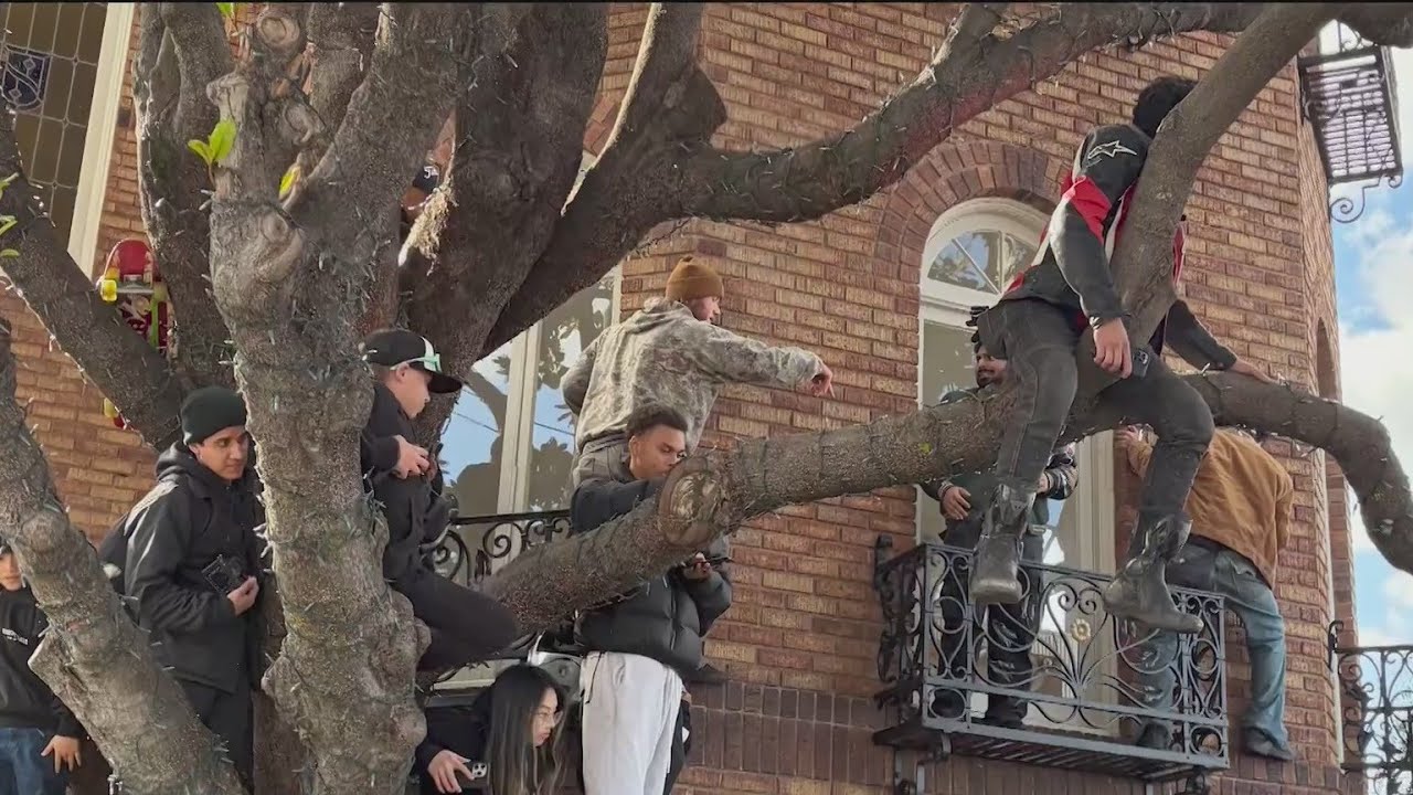 SF Marina residents voice complaints about crowd conduct during Red Bull Showrun