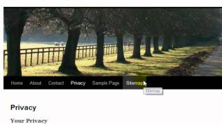 WP Simplicity Demo Tutorial