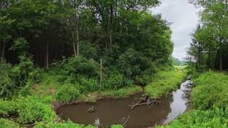 Create your own tour of one of Otsego County's  most beautiful wetlands, in the Town of Otsego.