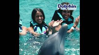 The Experience of your Lifetime at Dolphin Discovery