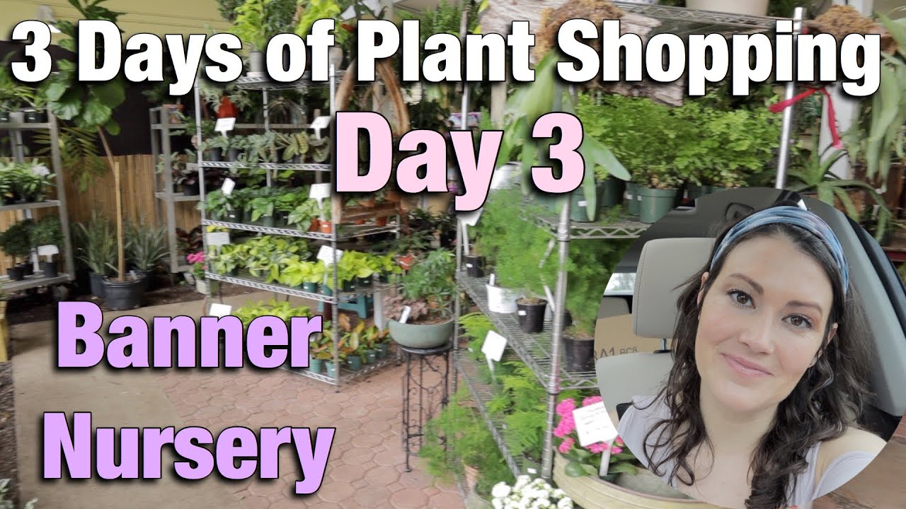 Three Days Of Plant Ping Day 3 With Me Banner Three Days Of Plant Ping Day 3