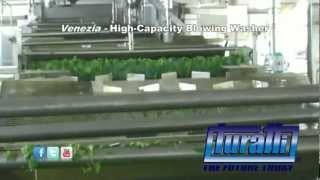 High Capacity Blowing Washer Mod. Venezia (Spinach) by Turatti