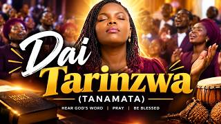 DAI TARINZWA SHOKO TANAMATA