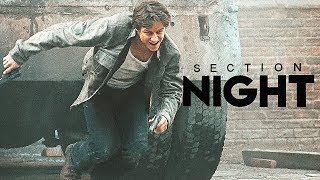 Night Section | HBD BRUNA [+infinitexnight]