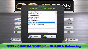 AO Scan Remote Unit Chakra Balancing