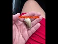 Making free pfps #pfpmaker #viral #funny #subscribe
