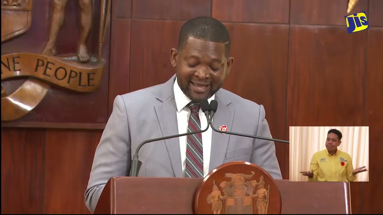 Командир Элвин Гейл || ODPEM || Специальный пресс-брифинг по восстановлению после урагана «Мелисс...