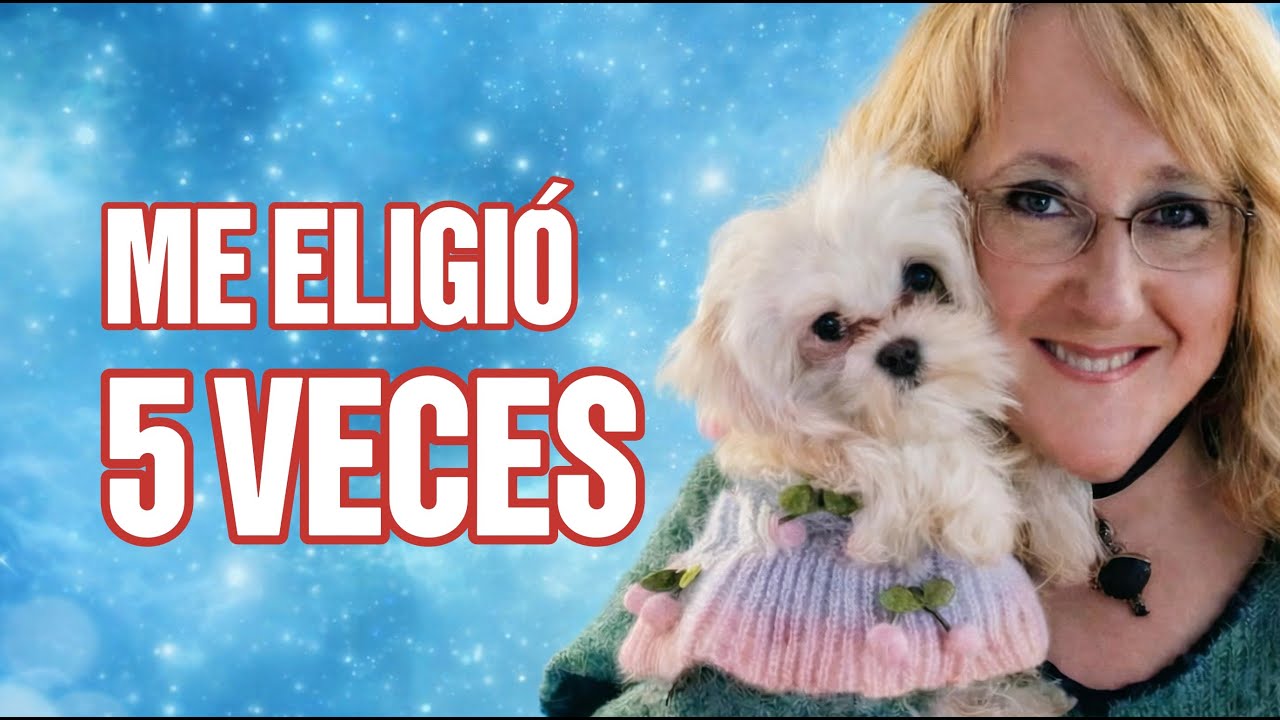 🐾 Su PERRA REENCARNÓ 5 VECES y esto es lo que pasó (REAL)