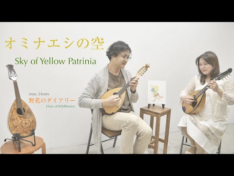 オミナエシの空 - 野花のダイアリーより