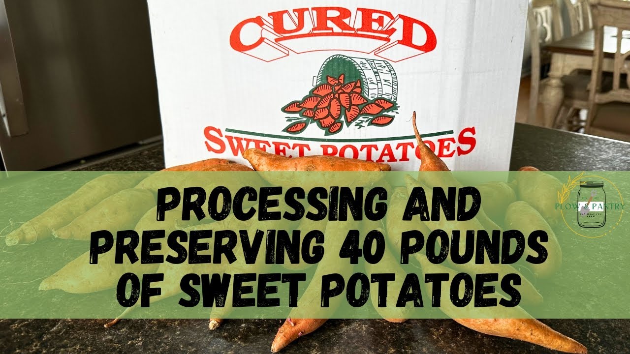 Preserving Sweet Potatoes - I Bought 40 Pounds! - YouTube