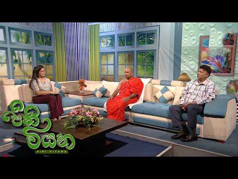 Pini Viyana - (2026-08-07) | ITN