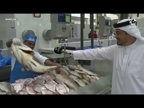 أسعار و أنواع الأسماك في سوق الجبيل 16 05 2025